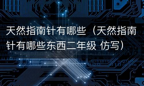 天然指南针有哪些（天然指南针有哪些东西二年级 仿写）
