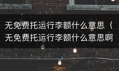 无免费托运行李额什么意思（无免费托运行李额什么意思啊）