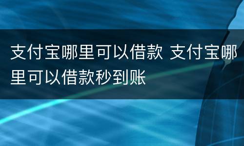 支付宝哪里可以借款 支付宝哪里可以借款秒到账