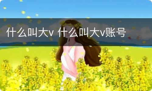 什么叫大v 什么叫大v账号