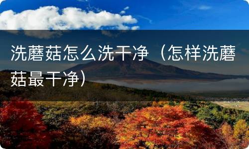 洗蘑菇怎么洗干净（怎样洗蘑菇最干净）
