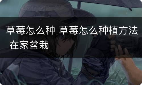 草莓怎么种 草莓怎么种植方法 在家盆栽