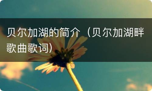 贝尔加湖的简介（贝尔加湖畔歌曲歌词）