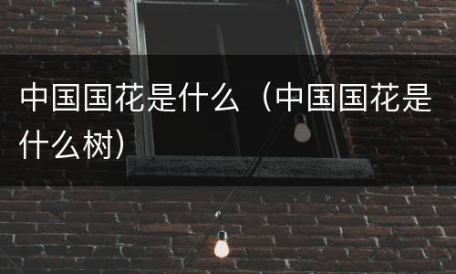 中国国花是什么（中国国花是什么树）