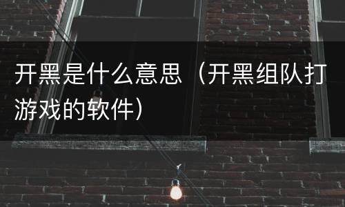 开黑是什么意思（开黑组队打游戏的软件）