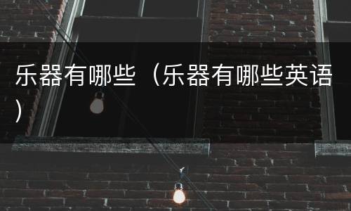 乐器有哪些（乐器有哪些英语）