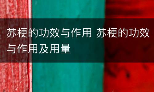 苏梗的功效与作用 苏梗的功效与作用及用量