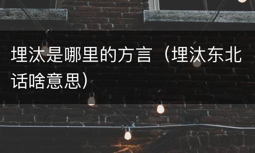 埋汰是哪里的方言（埋汰东北话啥意思）