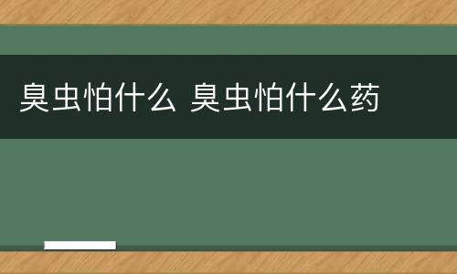 臭虫怕什么 臭虫怕什么药