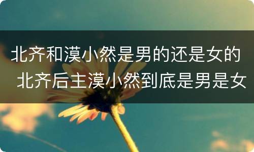 北齐和漠小然是男的还是女的 北齐后主漠小然到底是男是女