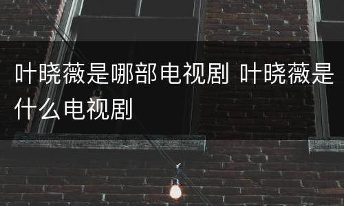 叶晓薇是哪部电视剧 叶晓薇是什么电视剧
