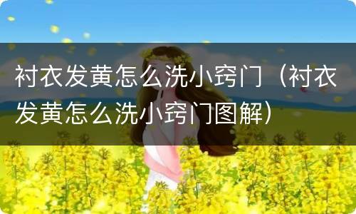 衬衣发黄怎么洗小窍门（衬衣发黄怎么洗小窍门图解）