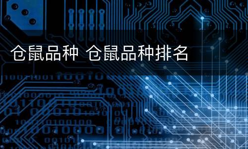 仓鼠品种 仓鼠品种排名