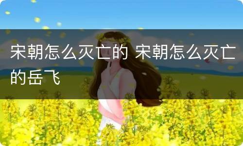宋朝怎么灭亡的 宋朝怎么灭亡的岳飞