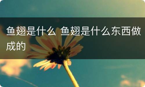鱼翅是什么 鱼翅是什么东西做成的