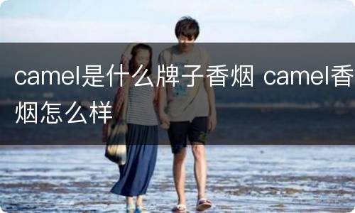 camel是什么牌子香烟 camel香烟怎么样