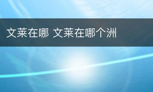 文莱在哪 文莱在哪个洲