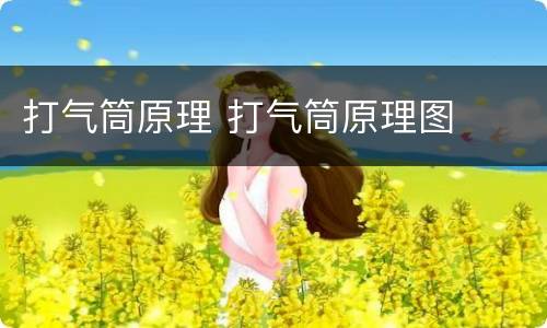 打气筒原理 打气筒原理图
