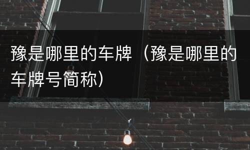 豫是哪里的车牌（豫是哪里的车牌号简称）