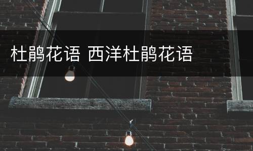 杜鹃花语 西洋杜鹃花语