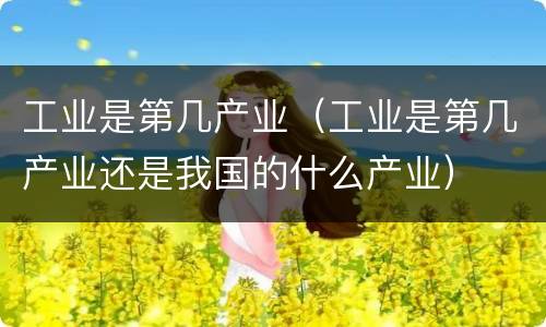 工业是第几产业（工业是第几产业还是我国的什么产业）