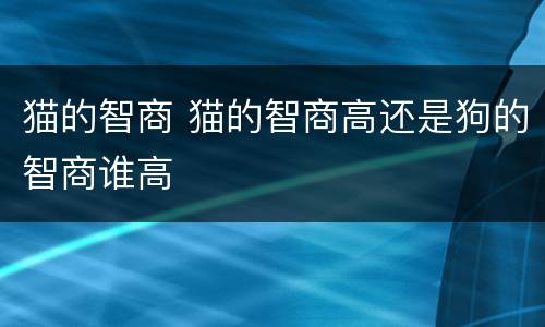 猫的智商 猫的智商高还是狗的智商谁高