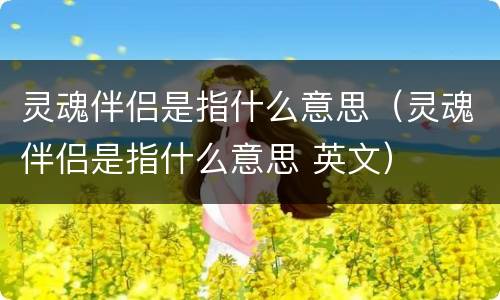 灵魂伴侣是指什么意思（灵魂伴侣是指什么意思 英文）