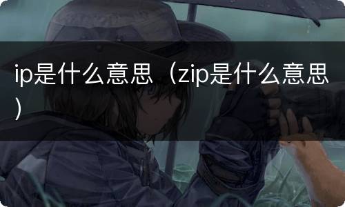 ip是什么意思（zip是什么意思）