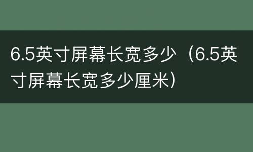 6.5英寸屏幕长宽多少（6.5英寸屏幕长宽多少厘米）