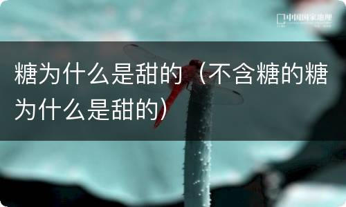 糖为什么是甜的（不含糖的糖为什么是甜的）