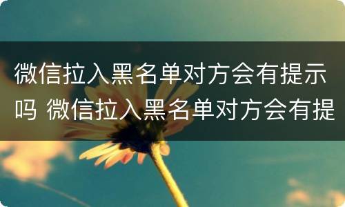 微信拉入黑名单对方会有提示吗 微信拉入黑名单对方会有提示吗
