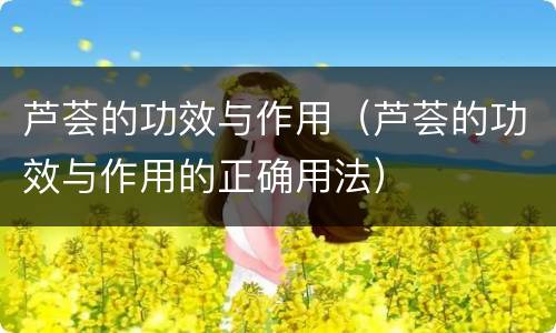 芦荟的功效与作用（芦荟的功效与作用的正确用法）