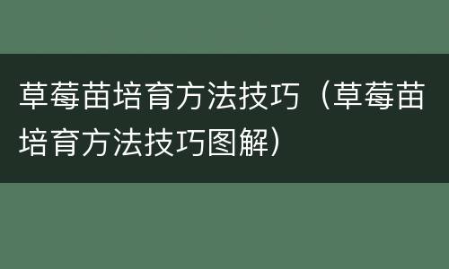 草莓苗培育方法技巧（草莓苗培育方法技巧图解）