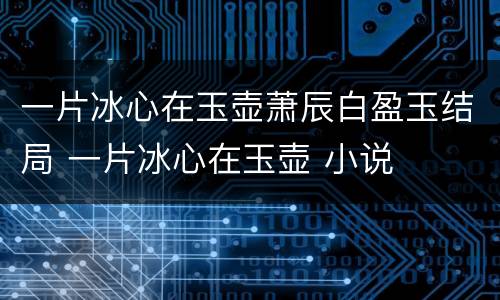 一片冰心在玉壶萧辰白盈玉结局 一片冰心在玉壶 小说