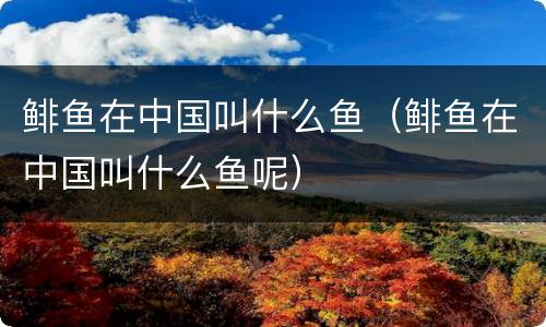 鲱鱼在中国叫什么鱼（鲱鱼在中国叫什么鱼呢）
