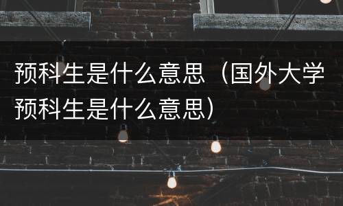 预科生是什么意思（国外大学预科生是什么意思）