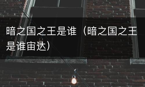 暗之国之王是谁（暗之国之王是谁宙达）