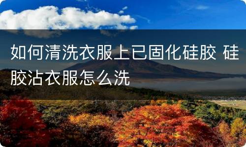 如何清洗衣服上已固化硅胶 硅胶沾衣服怎么洗