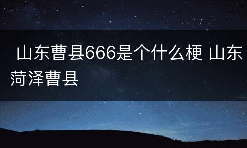  山东曹县666是个什么梗 山东菏泽曹县