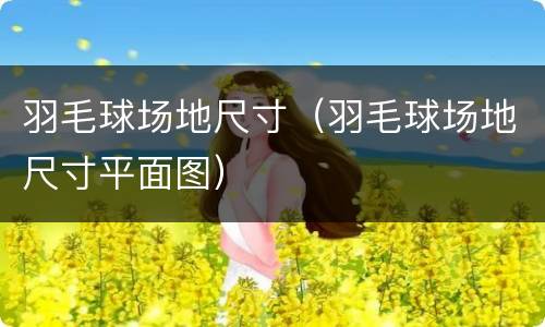 羽毛球场地尺寸（羽毛球场地尺寸平面图）