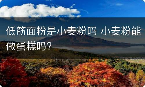 低筋面粉是小麦粉吗 小麦粉能做蛋糕吗?