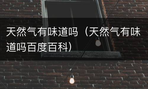 天然气有味道吗（天然气有味道吗百度百科）
