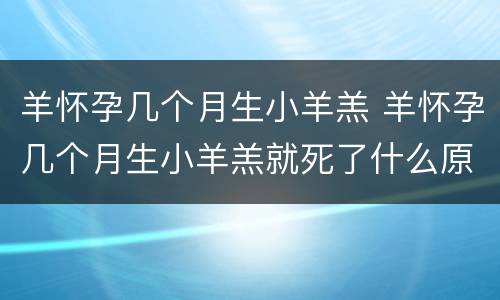 羊怀孕几个月生小羊羔 羊怀孕几个月生小羊羔就死了什么原因
