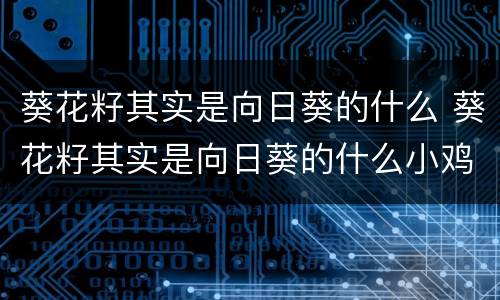 葵花籽其实是向日葵的什么 葵花籽其实是向日葵的什么小鸡