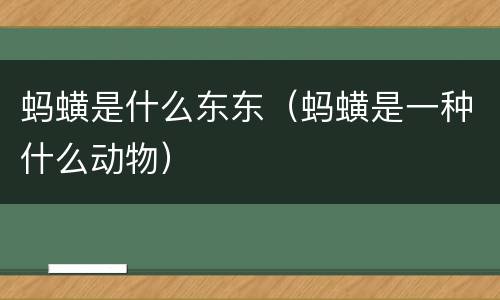 蚂蟥是什么东东（蚂蟥是一种什么动物）