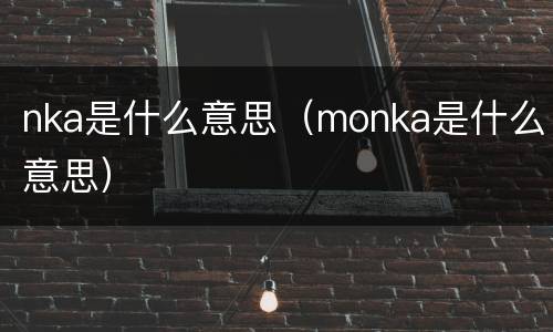 nka是什么意思（monka是什么意思）