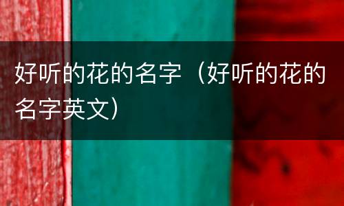 好听的花的名字（好听的花的名字英文）