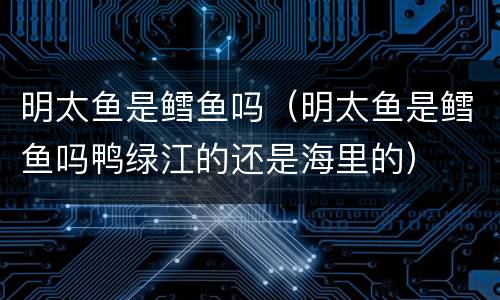 明太鱼是鳕鱼吗（明太鱼是鳕鱼吗鸭绿江的还是海里的）