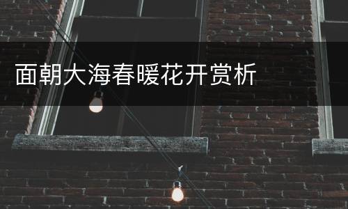 面朝大海春暖花开赏析