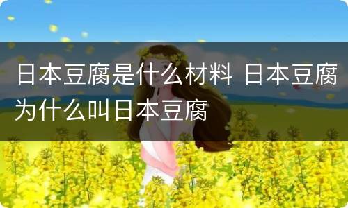 日本豆腐是什么材料 日本豆腐为什么叫日本豆腐